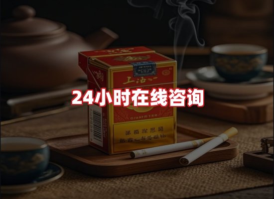 专业团队